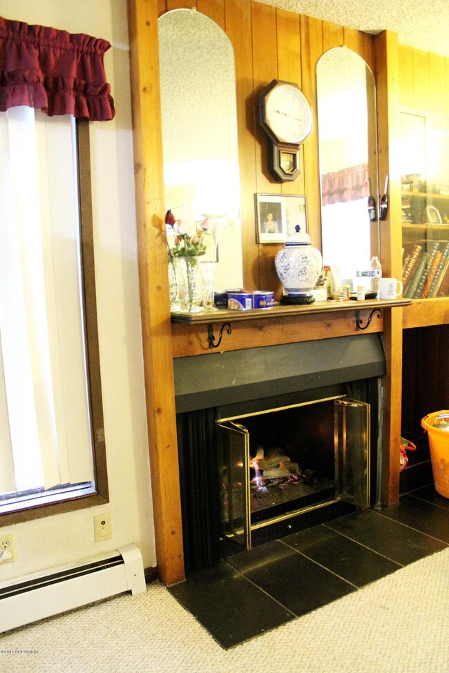 gas fireplace in livingrm