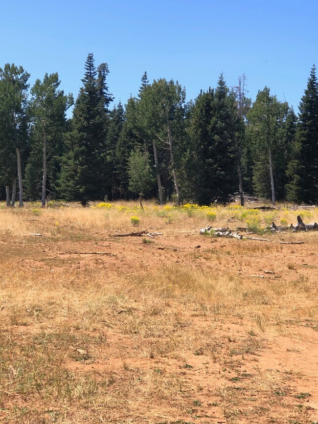 0 N Fork County Rd, Duck Creek Village, UT 84762 - photo 4