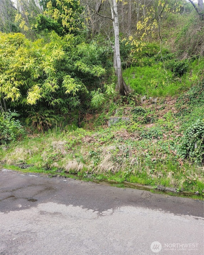 2318 Perkins Ln W, Seattle, WA 98199 - photo 3