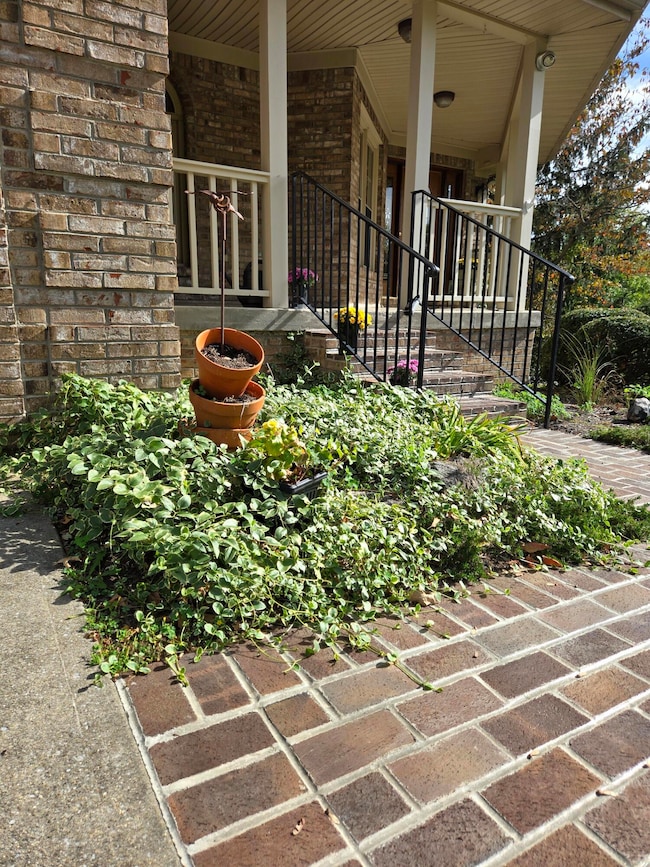 4728 Matthew Ct, Lexington, KY 40514 - photo 3