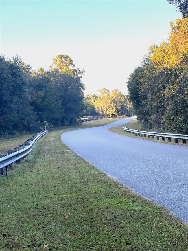 0 NW 145th Ave Lot 25, Williston, FL 32696 - photo 7