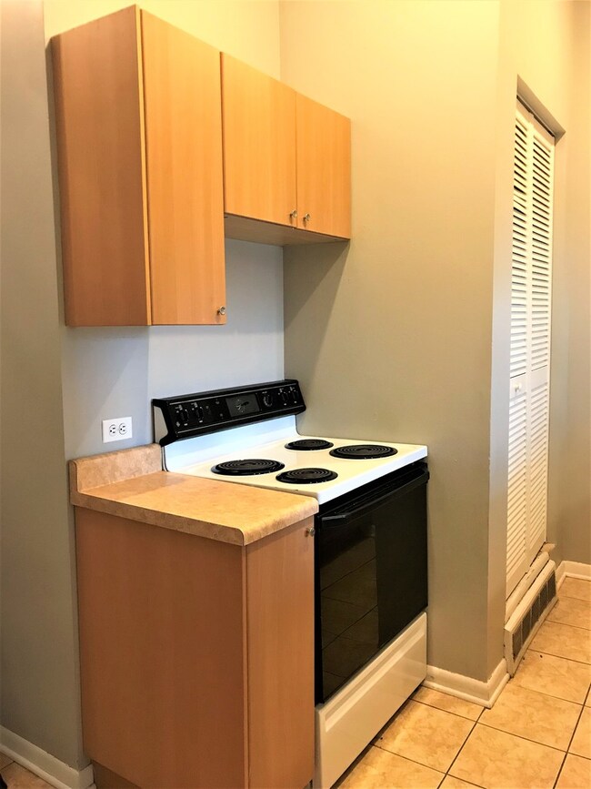 750 S Oakley Blvd unit 2, Chicago, IL 60612 - photo 6