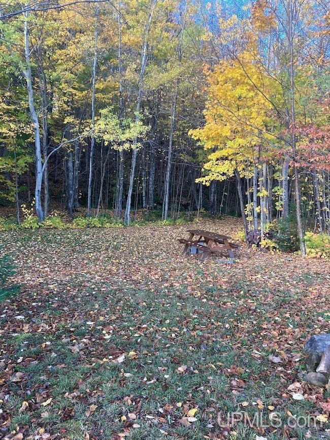 Parcel 155 Shore Dr, Onota Township, MI 49806 - photo 2