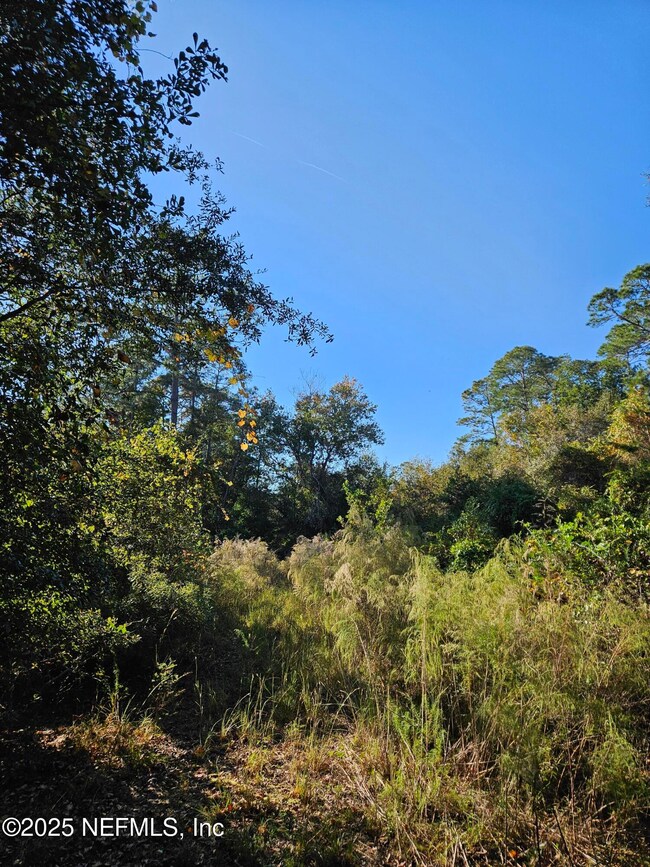 306 Lakeshore Dr, Starke, FL 32091 - photo 6