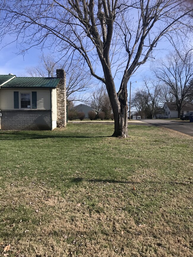 821 Shelbyview Dr, Shelbyville, TN 37160 - photo 6