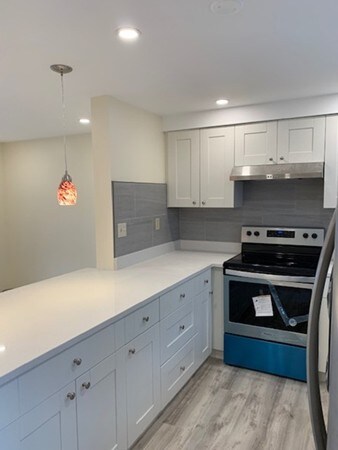 172 Charles St unit A, Cambridge, MA 02141 - photo 4