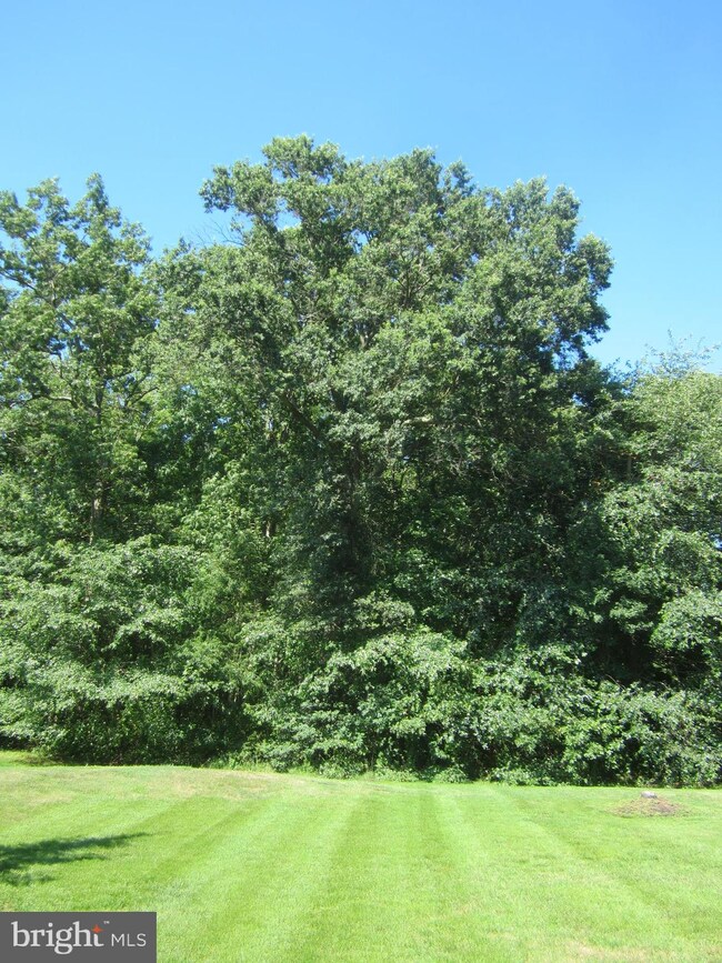 1503A Denham Ct unit 1503, Mount Laurel, NJ 08054 - photo 5