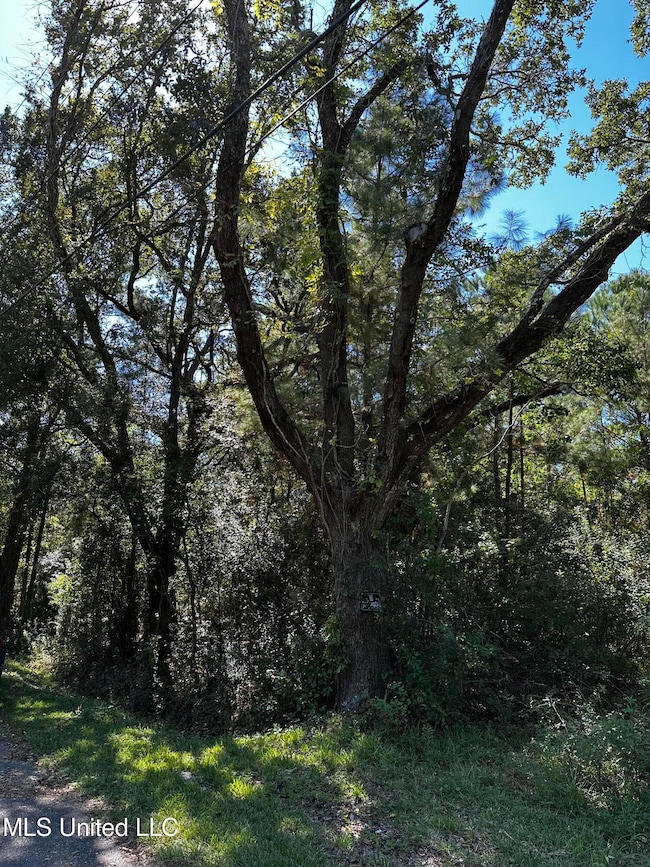 6611 Omaha St, Biloxi, MS 39532 - photo 5