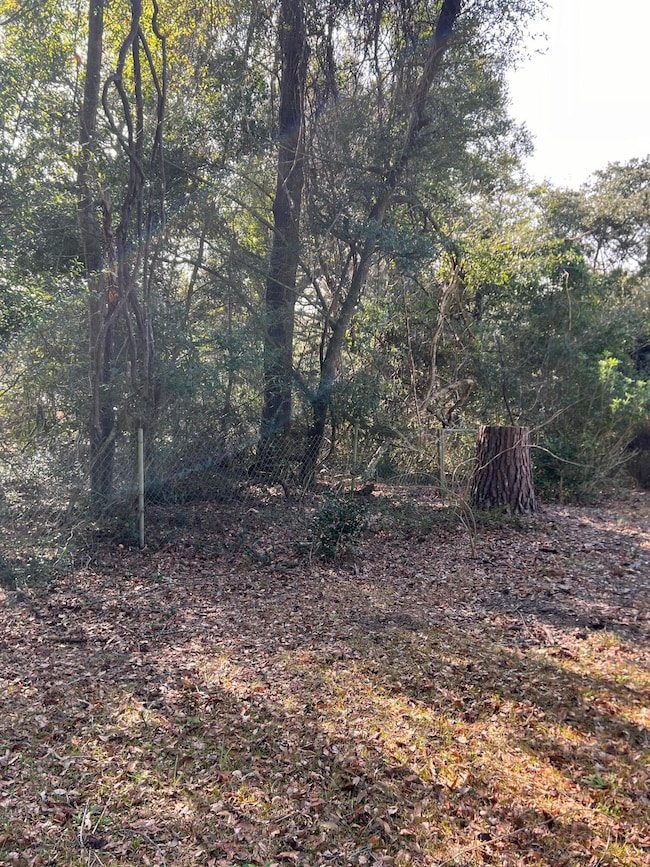 2560 Cherry Point Rd, Wadmalaw Island, SC 29487 - photo 4