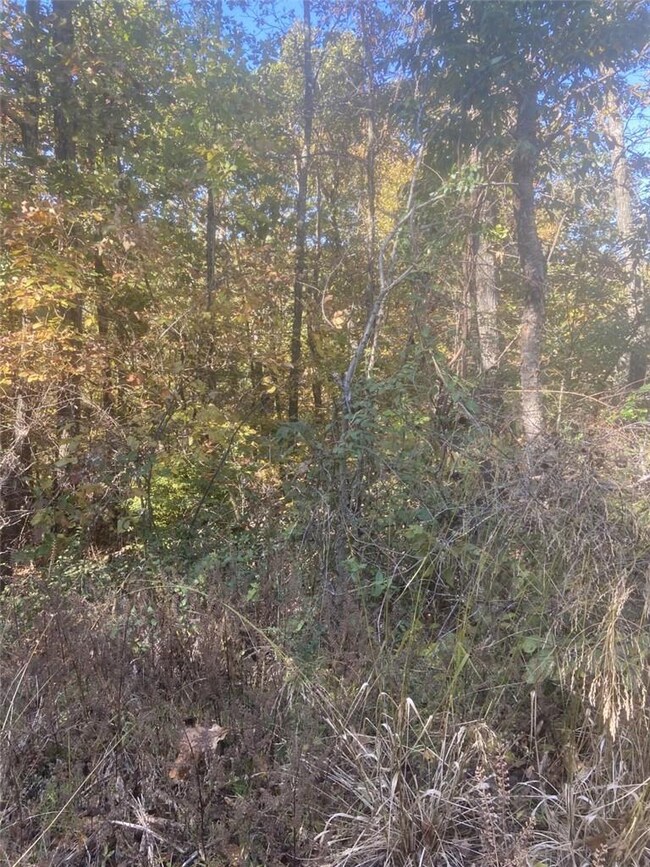 0 Sudbury Ln unit 1203006, Bella Vista, AR 72714 - photo 2