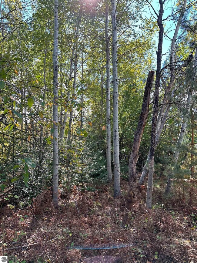 7191 Old 27, Vanderbilt, MI 49795 - photo 4