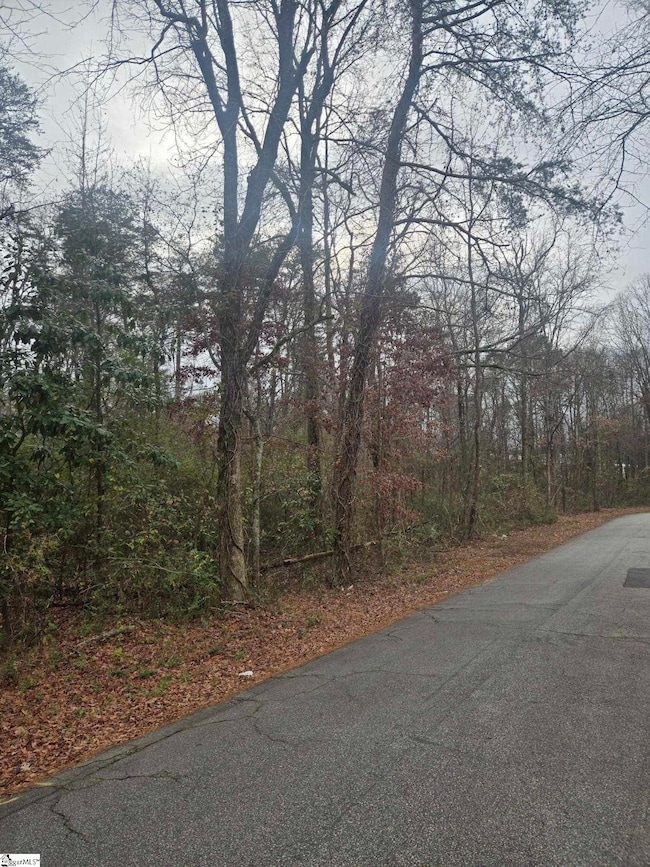 0 Kennedy Rd, Taylors, SC 29687 - photo 2