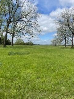 4 Check's Corner Rd, Sulphur Springs, AR 72768 - photo 5