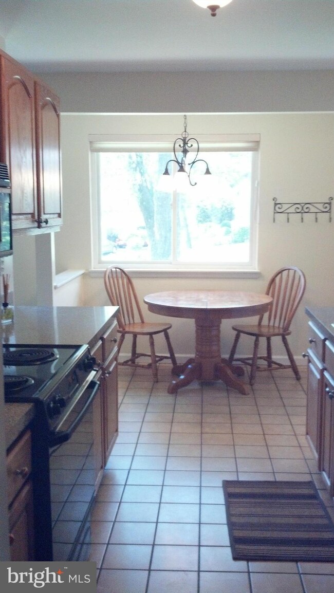 14501 Sturtevant Rd, Silver Spring, MD 20905 - photo 3