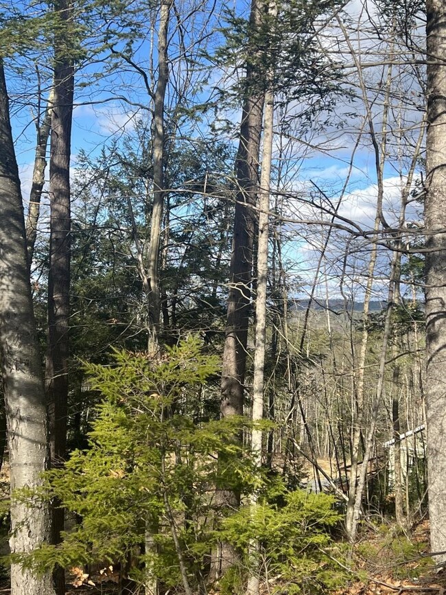 0 Westmoreland Rd, Chesterfield, NH 03462 - photo 5