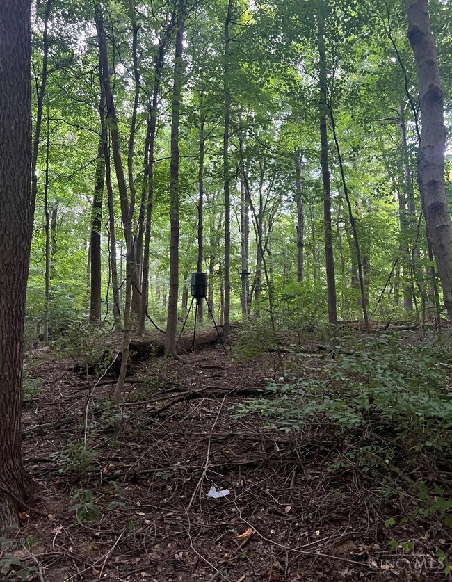 ac Richey Rd, Felicity, OH 45120 - photo 2