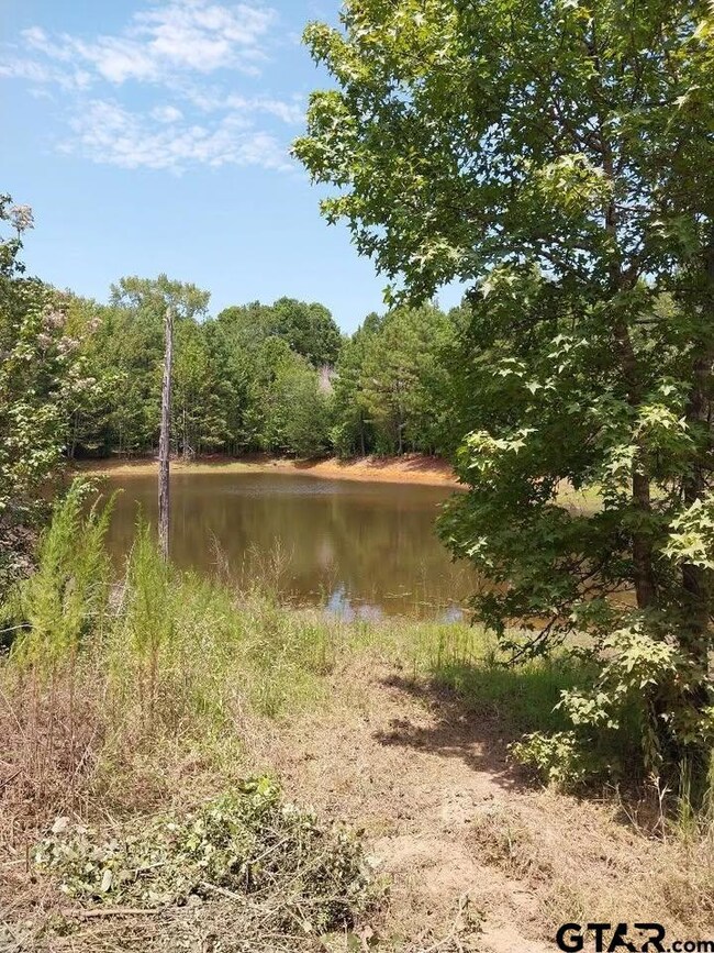 7104 Pin Oak Rd, Big Sandy, TX 75755 - photo 6