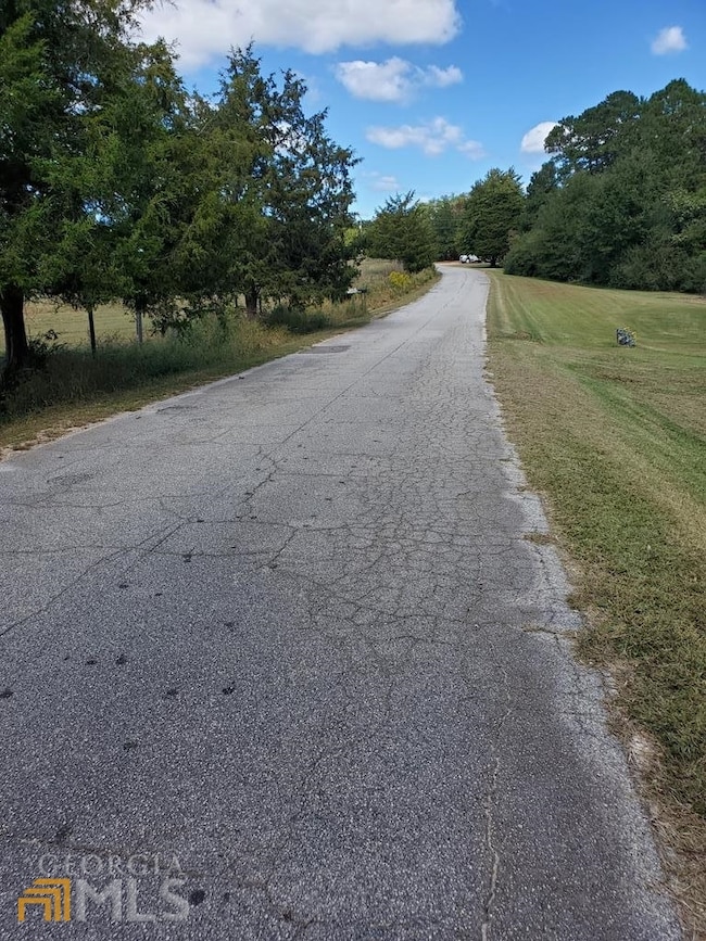 641 Waterworks Rd, Bremen, GA 30110 - photo 4