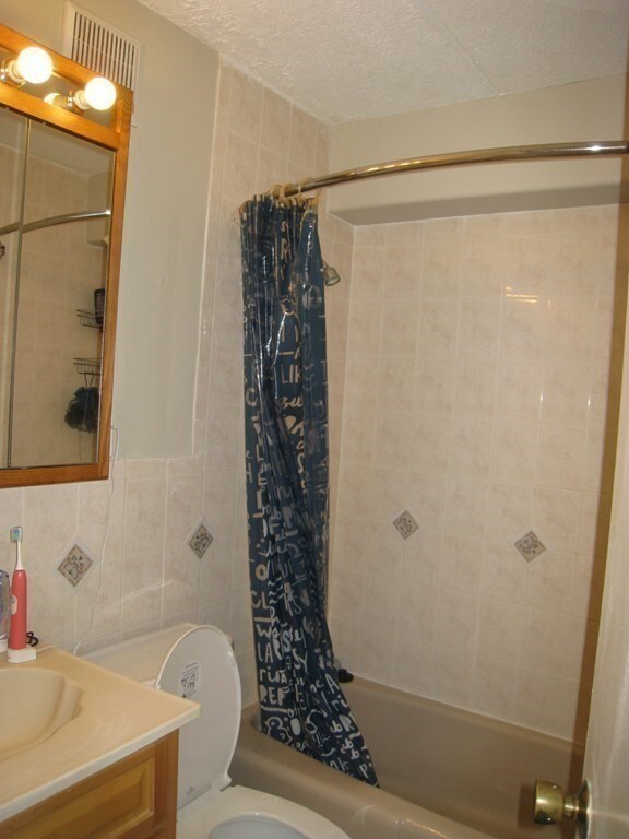 280 Harvard St unit 3C, Cambridge, MA 02139 - photo 6