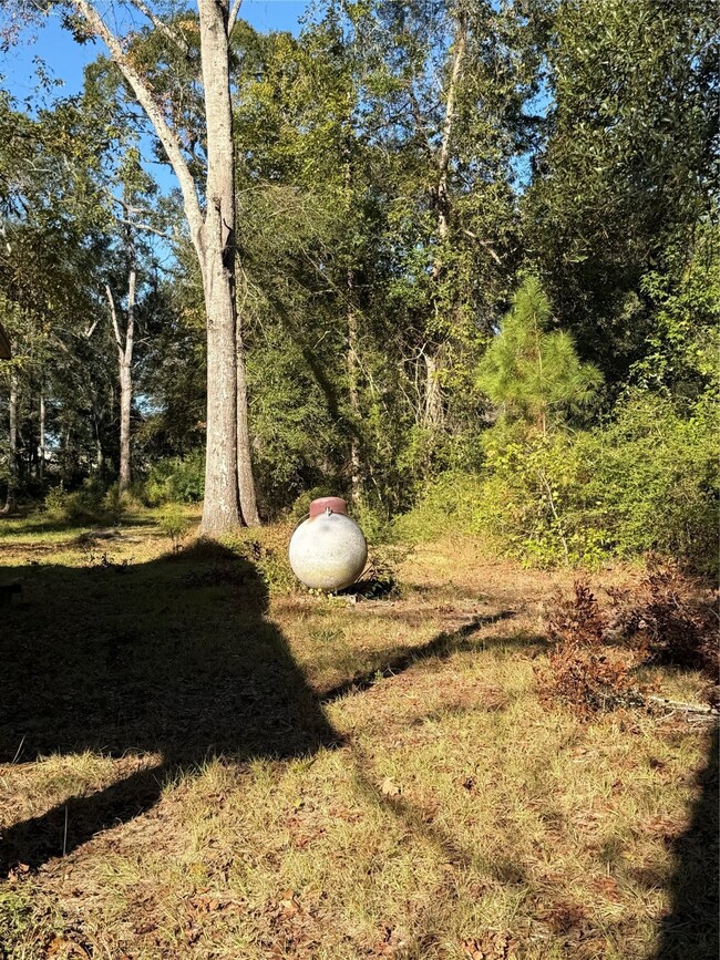 14696 Kyle Ln, Conroe, TX 77306 - photo 5