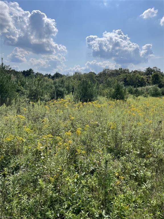 0 Ohio 45, Wellsville, OH 43968 - photo 7