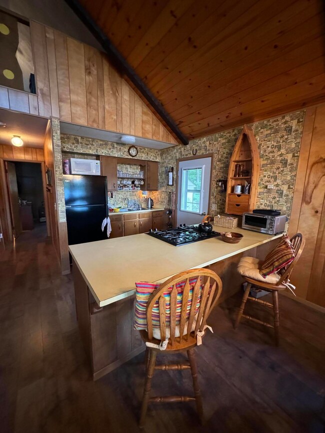 1117 W Lucinda Ln, Baldwin, MI 49304 - photo 5