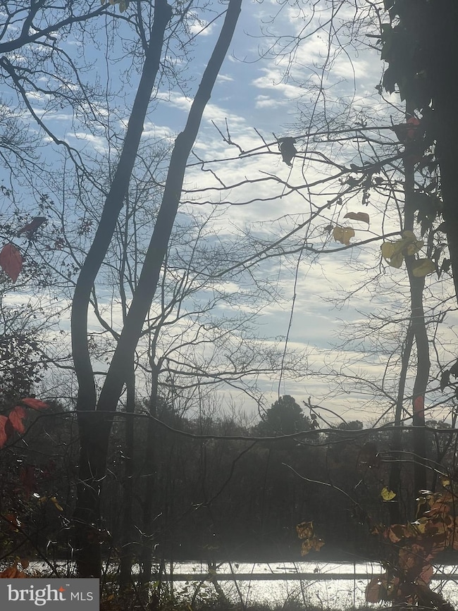 0 Cottman Rd, Allen, MD 21810 - photo 6