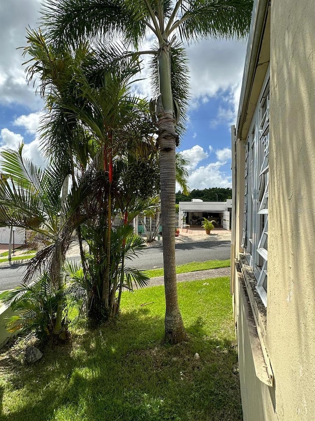 A-6  CISNE Bosque Verde, Caguas, PR 00727 - photo 5