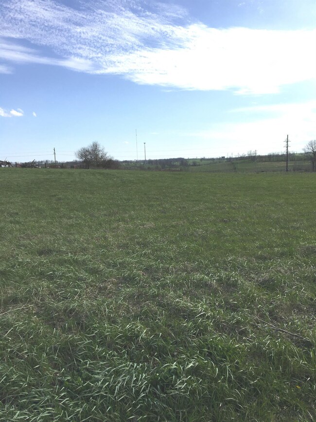 1401 Union Mill Rd, Nicholasville, KY 40356 - photo 2