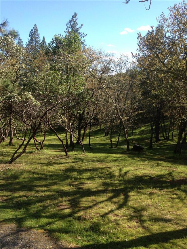 215 Morton Way, Jacksonville, OR 97530 - photo 6