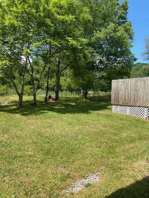 back yard