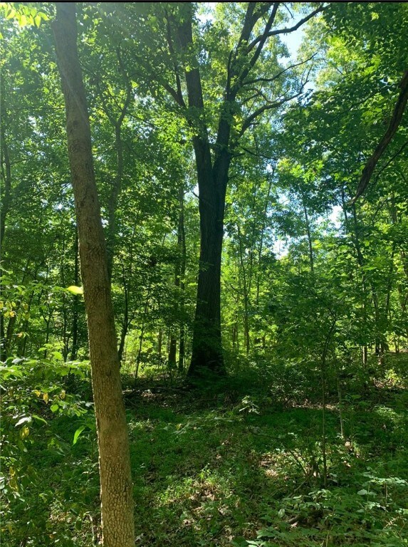 0 Ashley Ln, Bella Vista, AR 72715 - photo 4