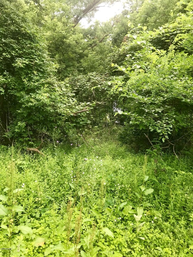 Pic5
