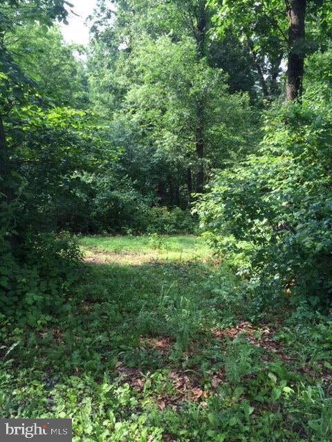 0 Sweitzer Rd unit 1 1002731571, Mohnton, PA 17540 - photo 2