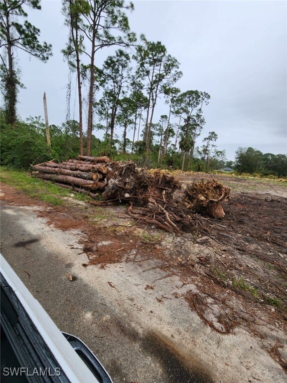 2004 Canton Ave, Alva, FL 33920 - photo 6