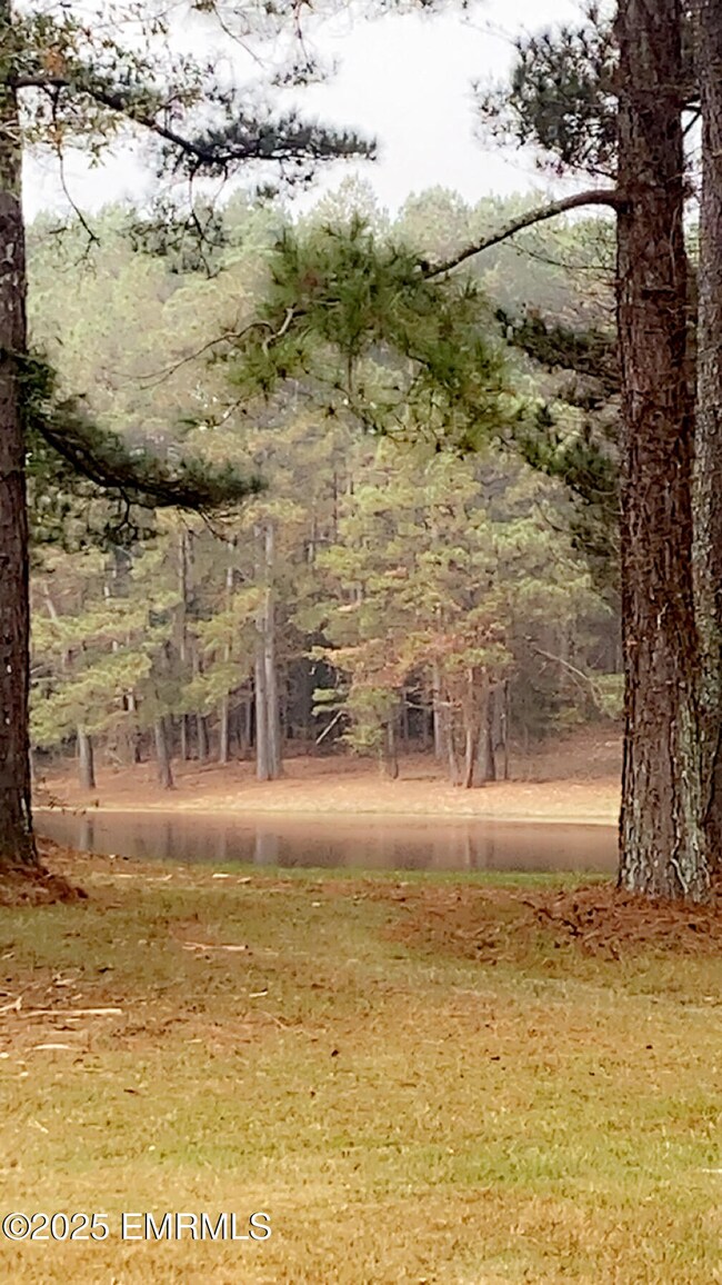 6464 Newton Conehatta Rd, Decatur, MS 39327 - photo 4