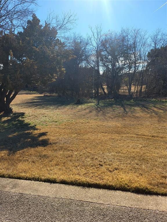 38006 Cedar Park Dr, Whitney, TX 76692 - photo 5
