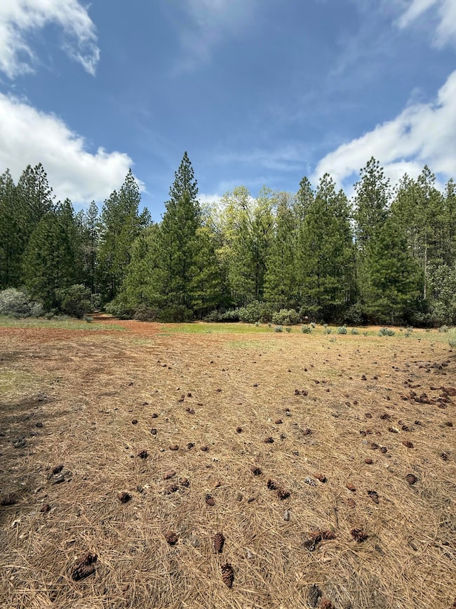 0 Ponderosa Way, Shingletown, CA 96088 - photo 2