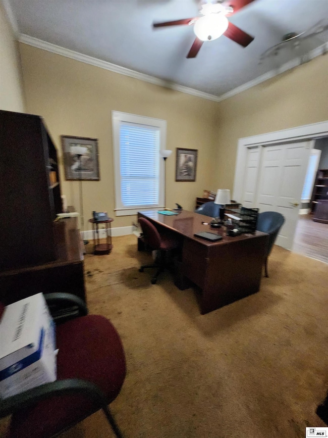 310 S Chestnut St, Tallulah, LA 71282 - photo 7