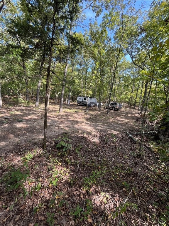 0 Nc 8659 unit 1322740, Jasper, AR 72641 - photo 7