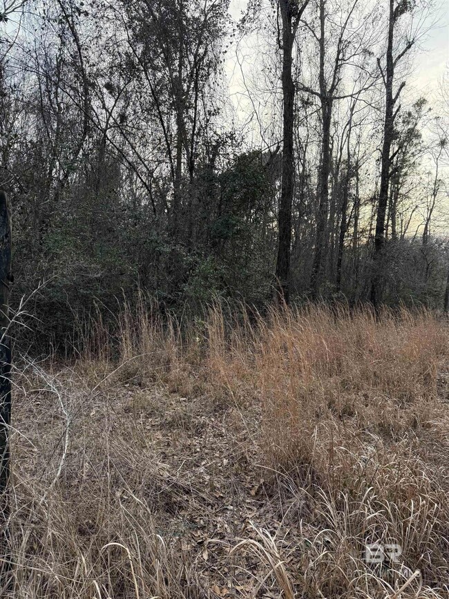 0 Harmon Williams Rd unit 374119, Mobile, AL 36608 - photo 7