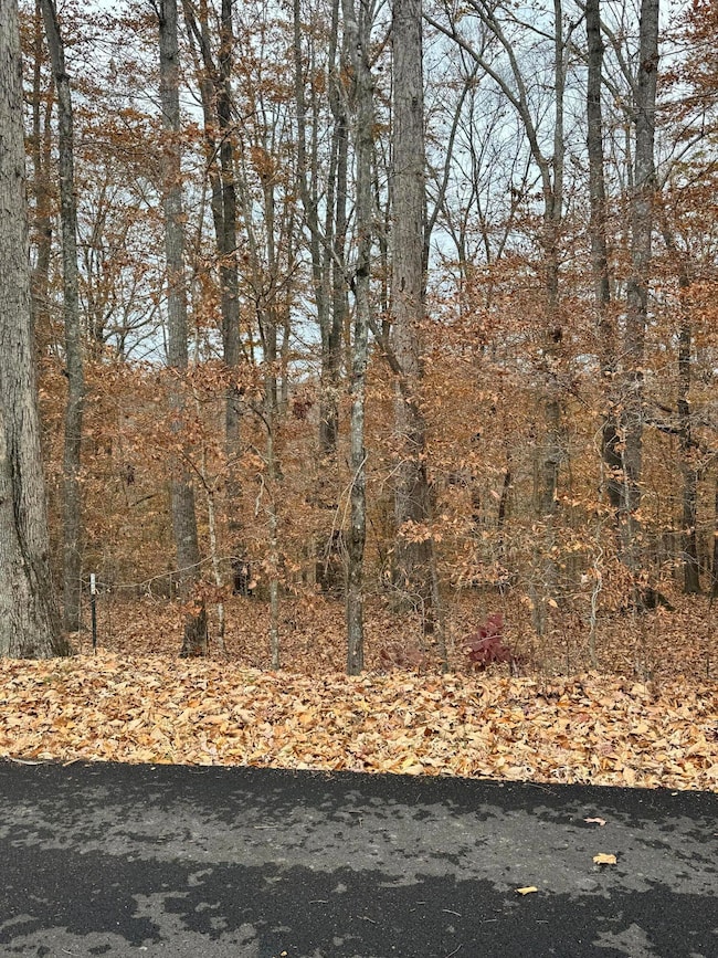 26 Peach Tree Ln, Russell Springs, KY 42642 - photo 2