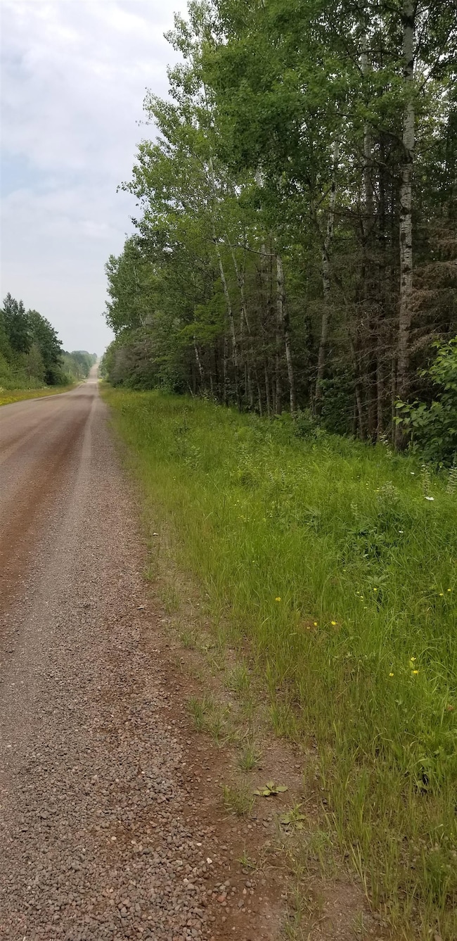 View of dirt / gravel road