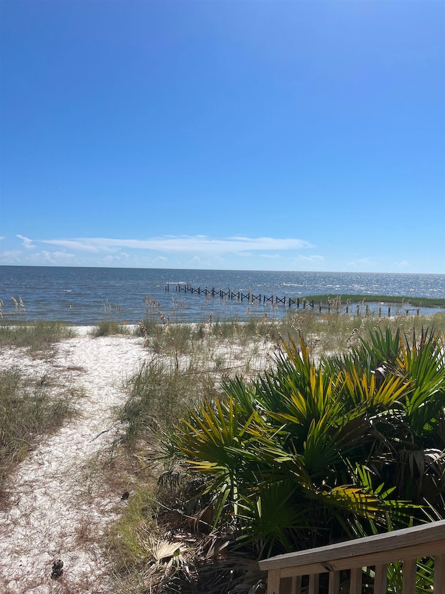 131 Lightning Bug Ln, Saint Teresa, FL 32358 - photo 3