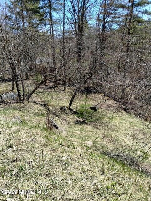 329 W Hague Rd, Hague, NY 12836 - photo 6