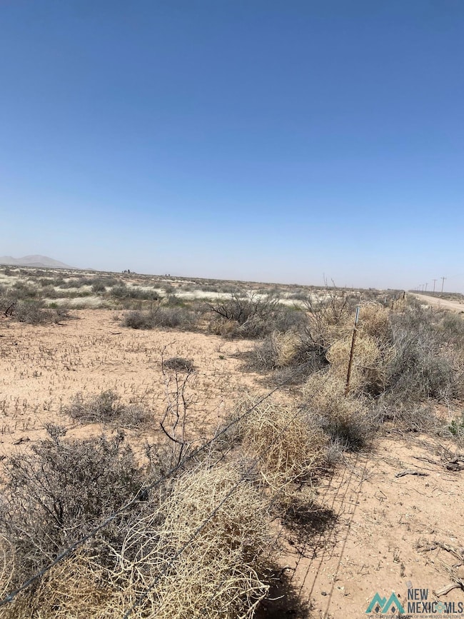 0 Hermanas Grad Rd, Deming, NM 88030 - photo 2