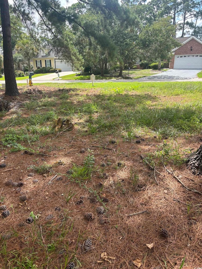 View of yard featuring driveway