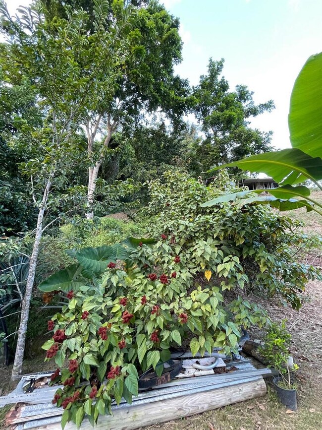 0 unit MFRPR9117727, Anasco, PR 00610 - photo 5