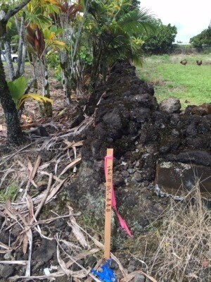 1746 Kilauea Ave, Hilo, HI 96720 - photo 4