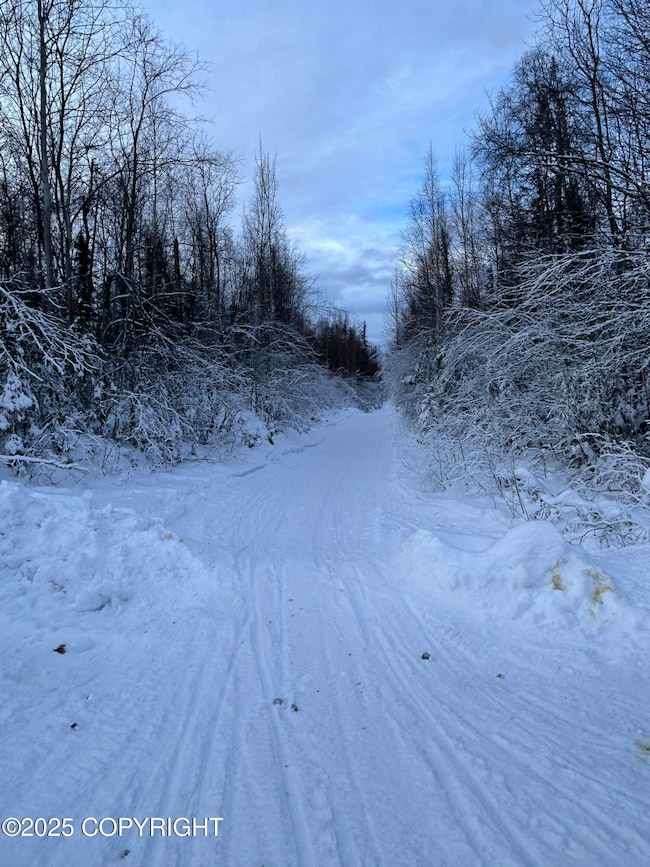 Trail